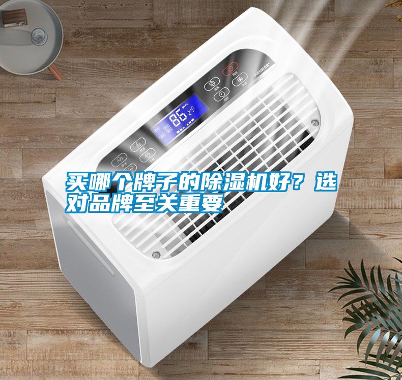 買(mǎi)哪個(gè)牌子的除濕機(jī)好？選對(duì)品牌至關(guān)重要