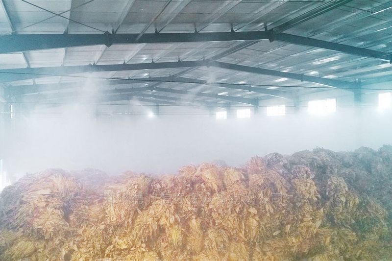 提升煙葉加工質量，高效回潮很重要