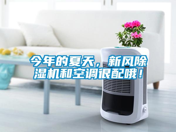 今年的夏天，新風除濕機和空調(diào)很配哦！