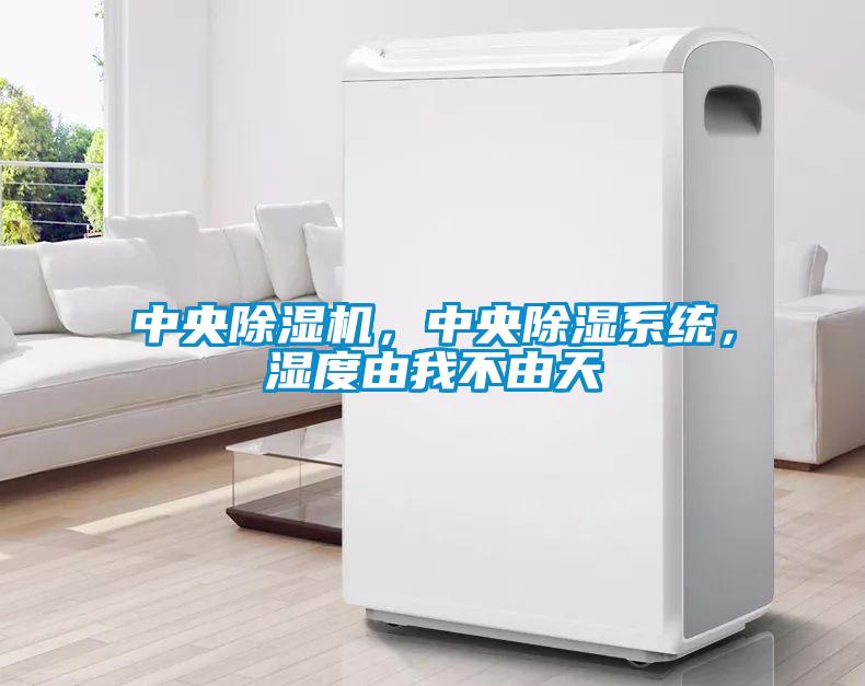 中央除濕機，中央除濕系統，濕度由我不由天