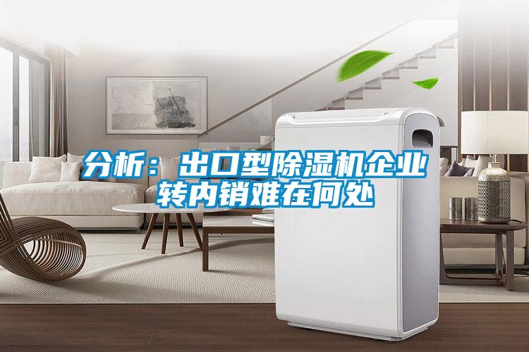 分析：出口型除濕機企業(yè) 轉內銷難在何處