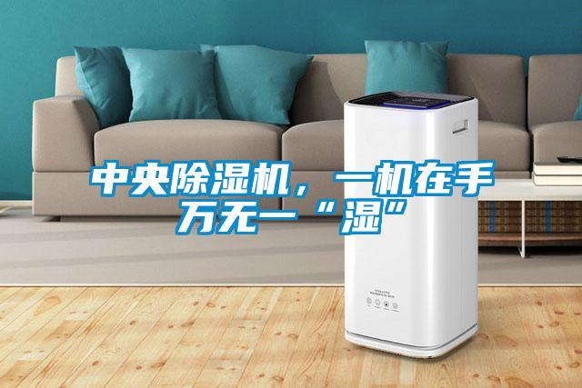 中央除濕機，一機在手萬無一“濕”