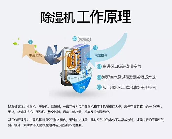 為室內(nèi)綠化園添置除濕機需要考慮哪些因素？