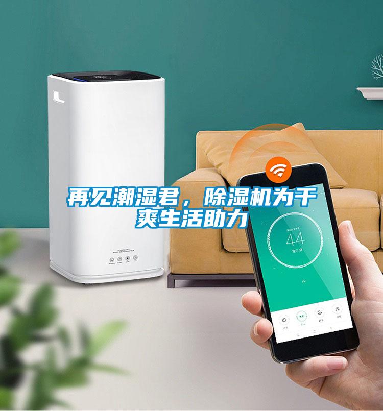 再見潮濕君，除濕機(jī)為干爽生活助力
