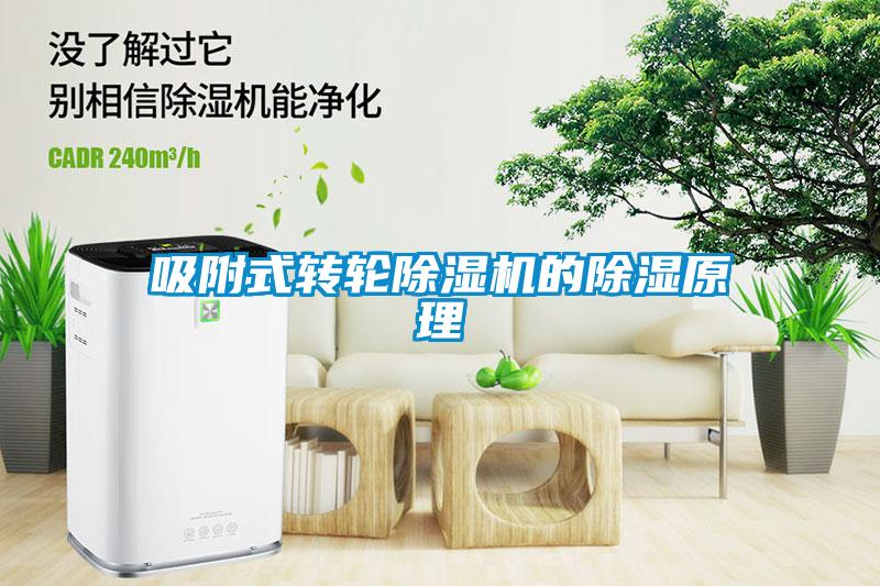 吸附式轉輪除濕機的除濕原理