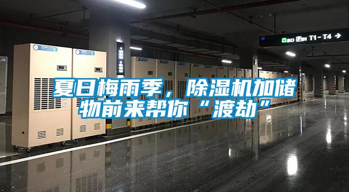 夏日梅雨季，除濕機加儲物前來幫你“渡劫”