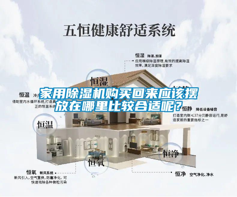 家用除濕機購買回來應(yīng)該擺放在哪里比較合適呢？