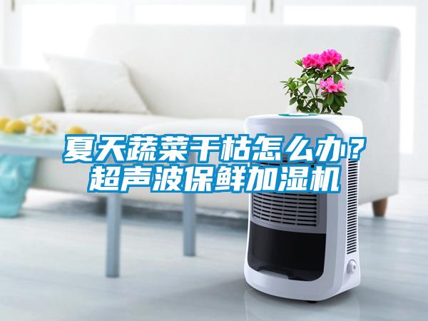 夏天蔬菜干枯怎么辦？超聲波保鮮加濕機