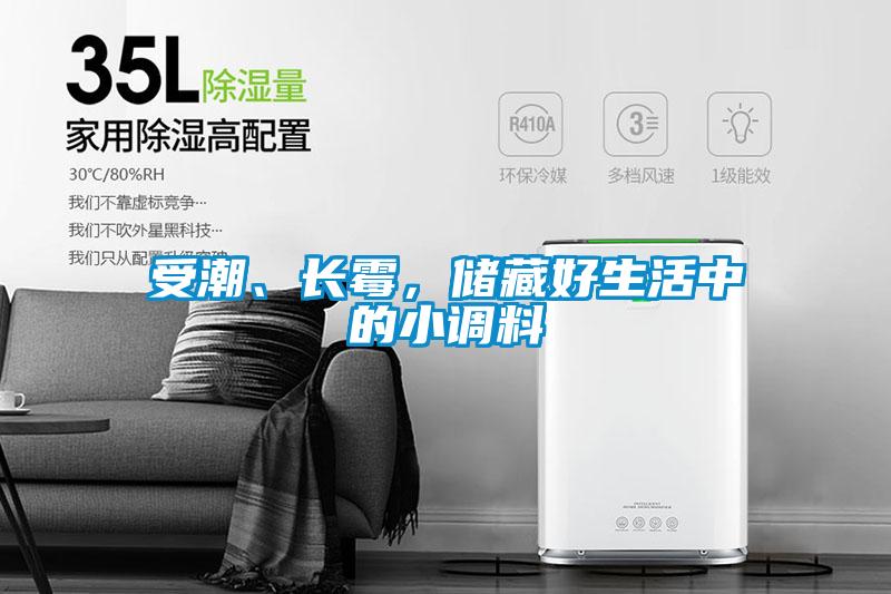 受潮、長霉，儲藏好生活中的小調(diào)料