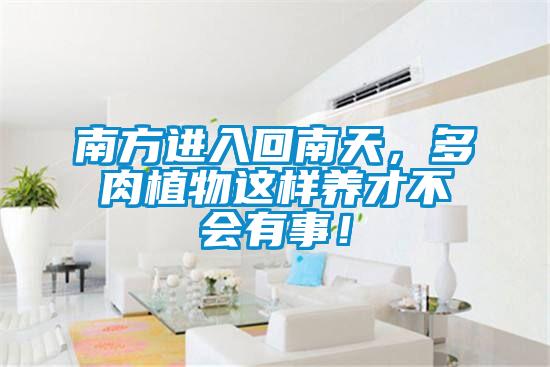 南方進入回南天，多肉植物這樣養才不會有事！