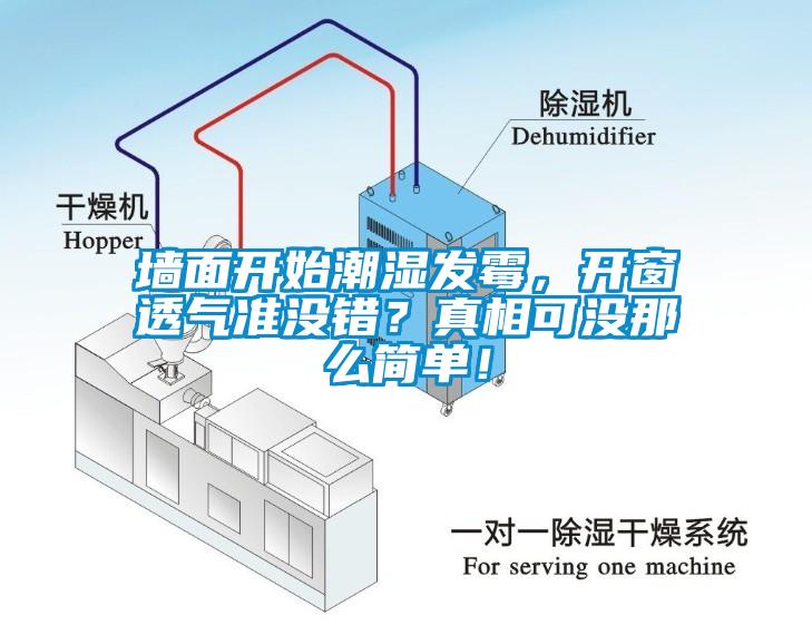 墻面開始潮濕發霉，開窗透氣準沒錯？真相可沒那么簡單！