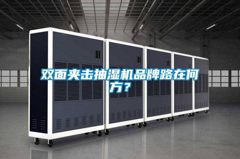雙面夾擊抽濕機品牌路在何方？