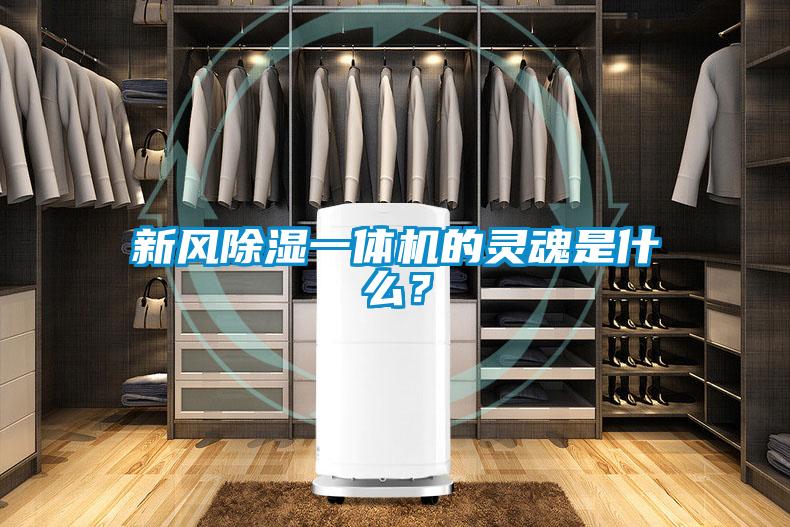 新風(fēng)除濕一體機(jī)的靈魂是什么？