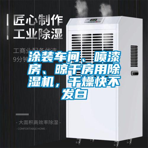 涂裝車(chē)間、噴漆房、晾干房用除濕機(jī)，干燥快不發(fā)白