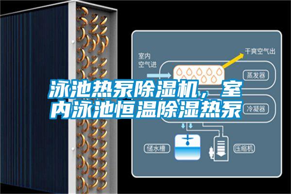 泳池?zé)岜贸凉駲C，室內(nèi)泳池恒溫除濕熱泵