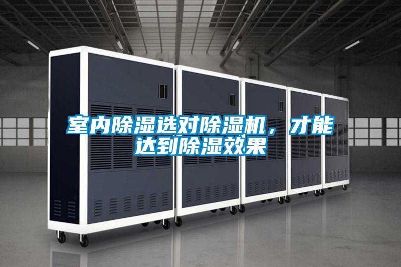 室內(nèi)除濕選對除濕機(jī)，才能達(dá)到除濕效果