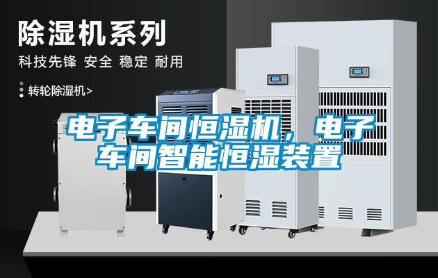 電子車間恒濕機，電子車間智能恒濕裝置
