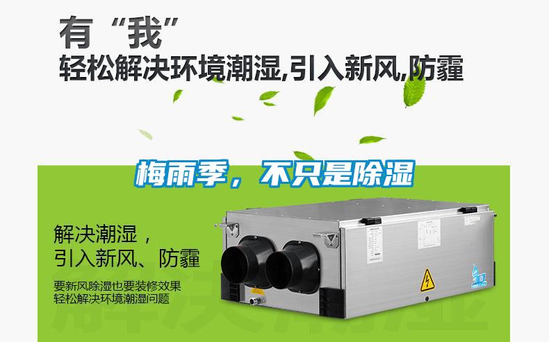 梅雨季，不只是除濕