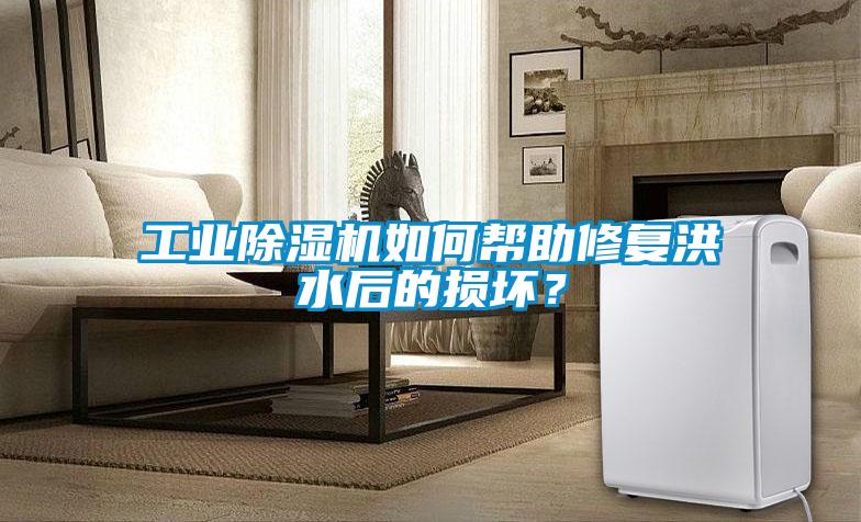 工業(yè)除濕機如何幫助修復(fù)洪水后的損壞？