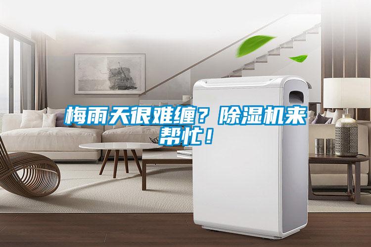 梅雨天很難纏？除濕機來幫忙！