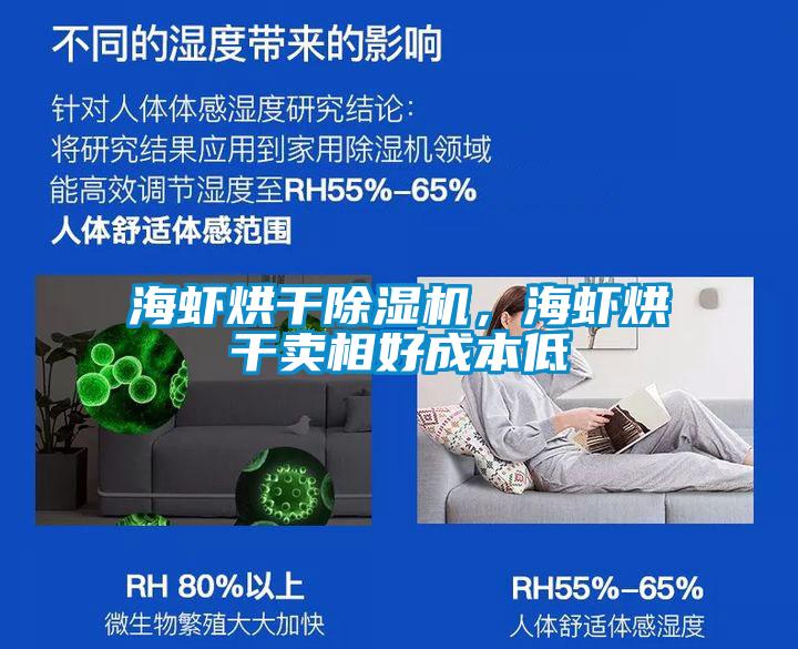 海蝦烘干除濕機(jī)，海蝦烘干賣相好成本低