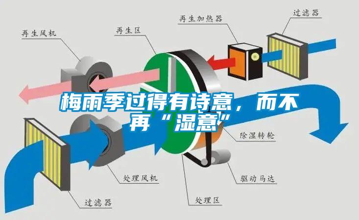 梅雨季過得有詩意，而不再“濕意”