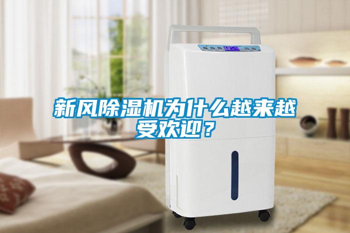 新風除濕機為什么越來越受歡迎？