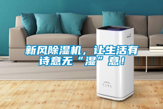 新風(fēng)除濕機，讓生活有詩意無“濕”意！