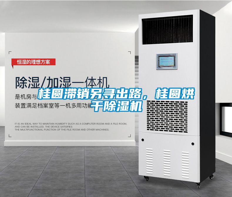 桂圓滯銷另尋出路，桂圓烘干除濕機