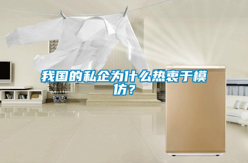 我國的私企為什么熱衷于模仿？