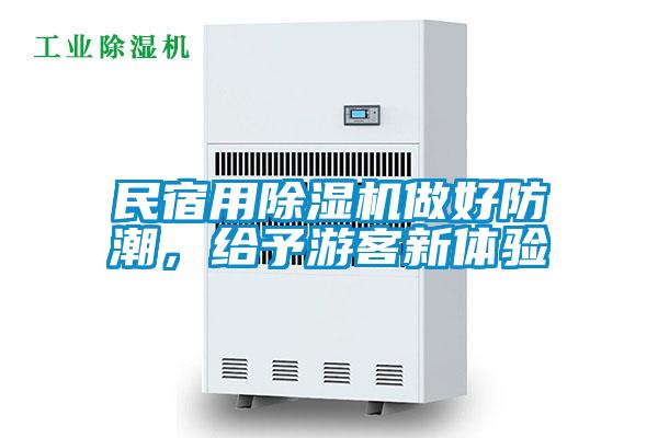 民宿用除濕機做好防潮，給予游客新體驗