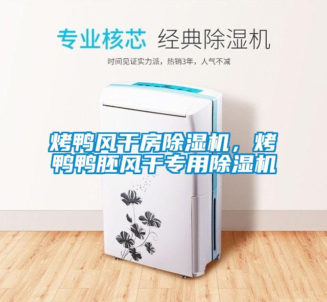 烤鴨風(fēng)干房除濕機(jī)，烤鴨鴨胚風(fēng)干專用除濕機(jī)