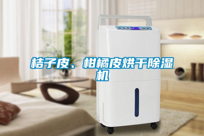 桔子皮、柑橘皮烘干除濕機(jī)