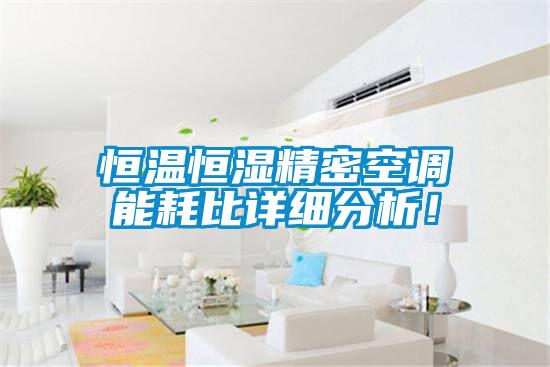 恒溫恒濕精密空調(diào)能耗比詳細分析！