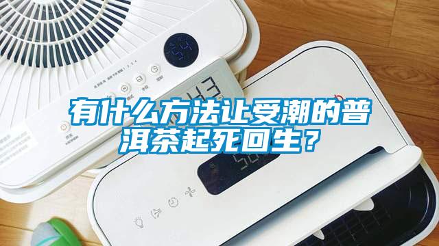 有什么方法讓受潮的普洱茶起死回生？