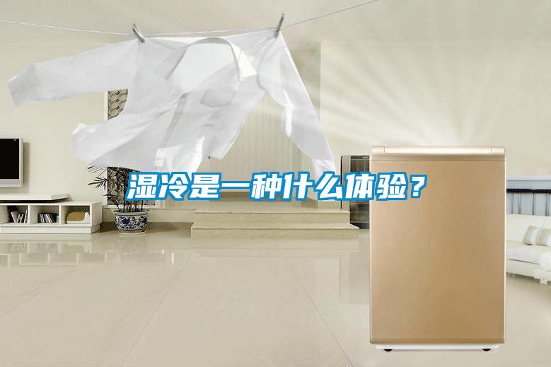 濕冷是一種什么體驗？