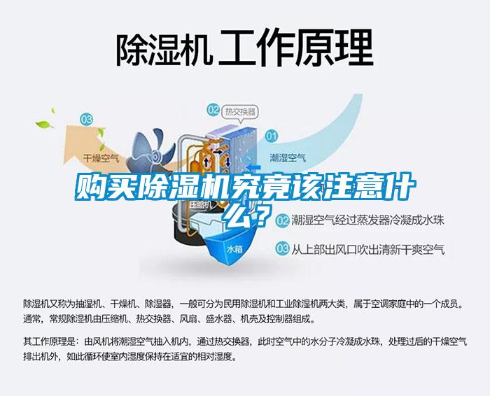 購(gòu)買除濕機(jī)究竟該注意什么？