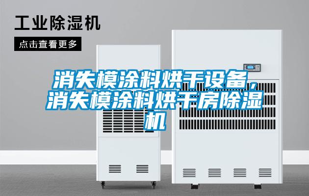 消失模涂料烘干設(shè)備，消失模涂料烘干房除濕機(jī)
