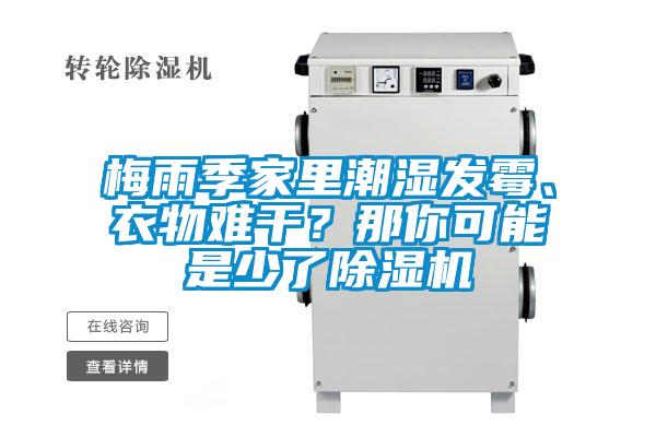 梅雨季家里潮濕發(fā)霉、衣物難干？那你可能是少了除濕機(jī)