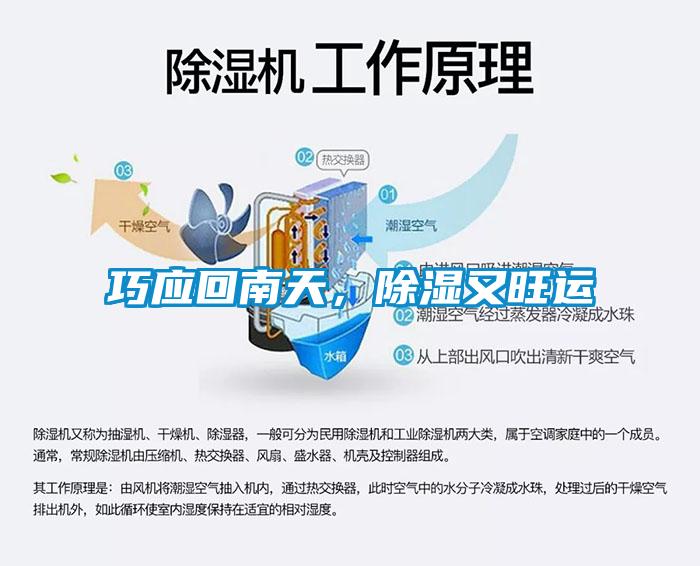 巧應(yīng)回南天，除濕又旺運(yùn)