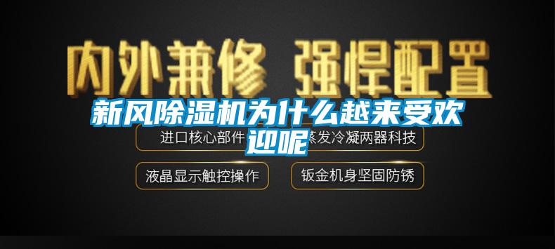 新風(fēng)除濕機(jī)為什么越來受歡迎呢