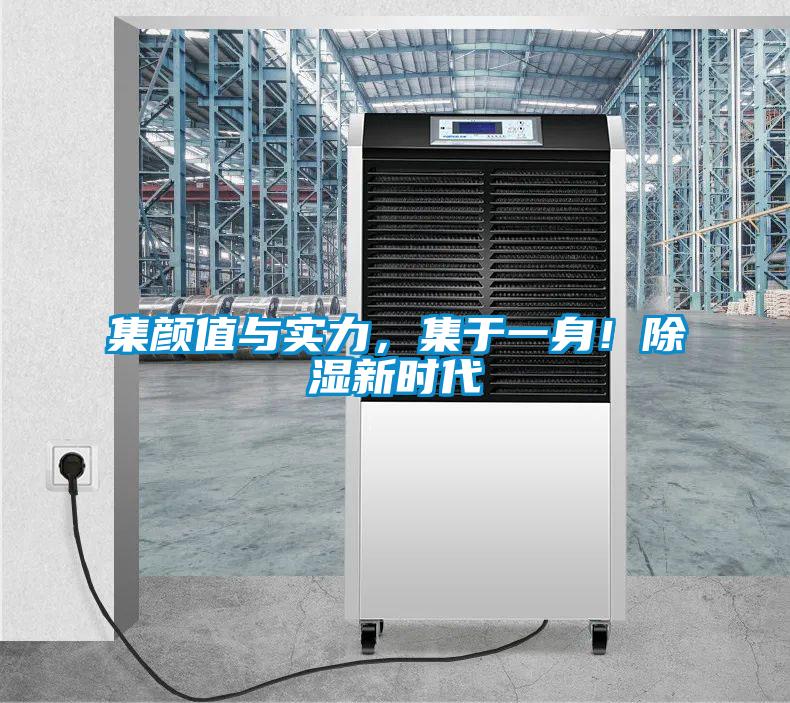 集顏值與實(shí)力，集于一身！除濕新時(shí)代