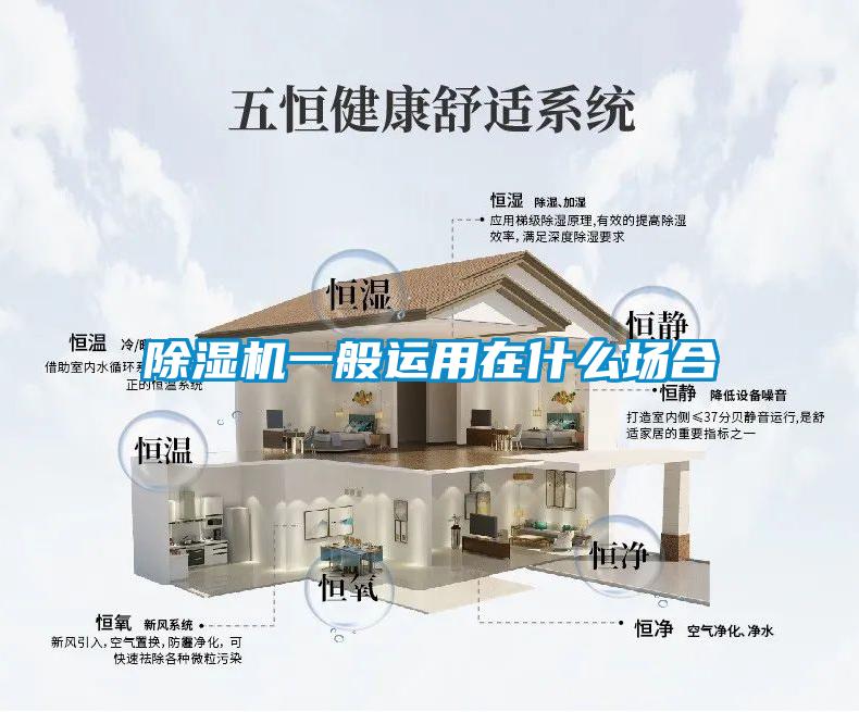 除濕機(jī)一般運(yùn)用在什么場合