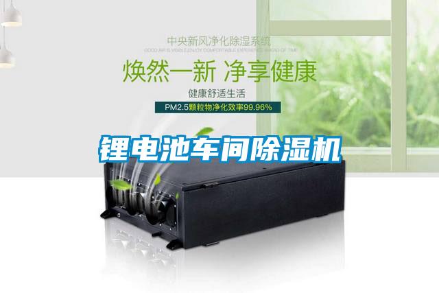 鋰電池車(chē)間除濕機(jī)