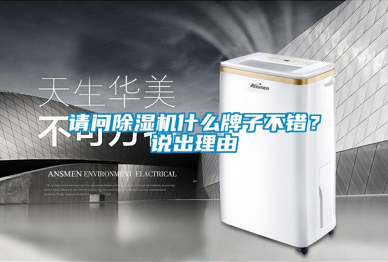 請(qǐng)問除濕機(jī)什么牌子不錯(cuò)？說出理由