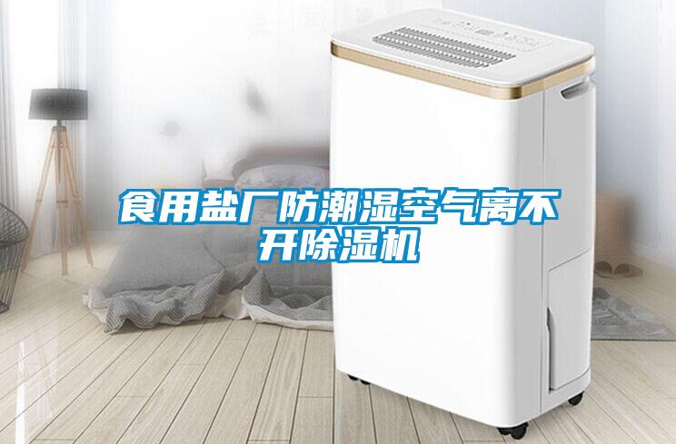 食用鹽廠防潮濕空氣離不開(kāi)除濕機(jī)