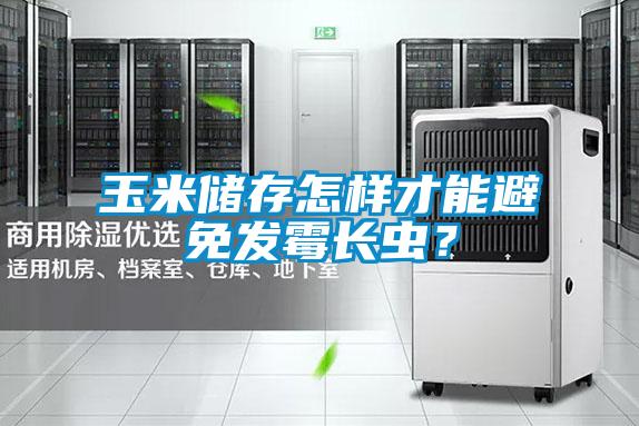 玉米儲存怎樣才能避免發(fā)霉長蟲？