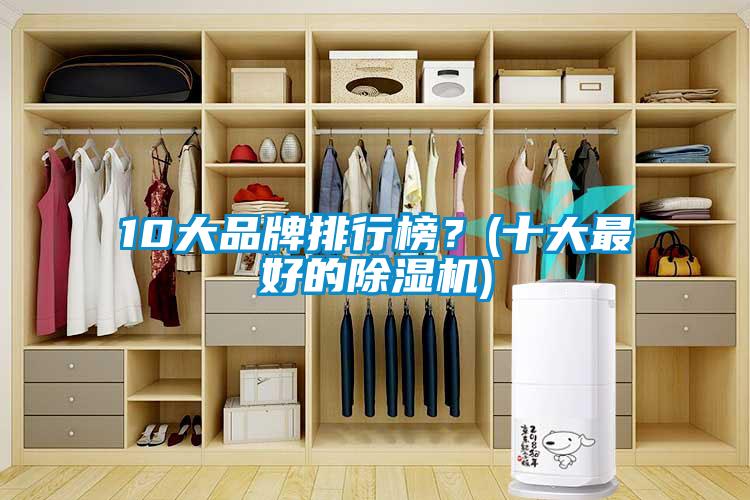 10大品牌排行榜？(十大最好的除濕機)