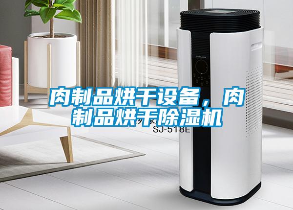 肉制品烘干設(shè)備，肉制品烘干除濕機
