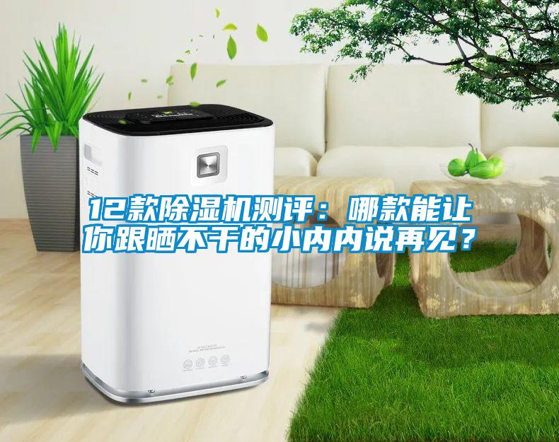 12款除濕機測評：哪款能讓你跟曬不干的小內(nèi)內(nèi)說再見？